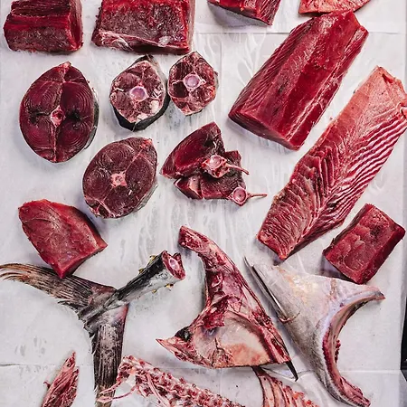 Maritim Marina Bay & Casino (adults Only) 호텔 5*